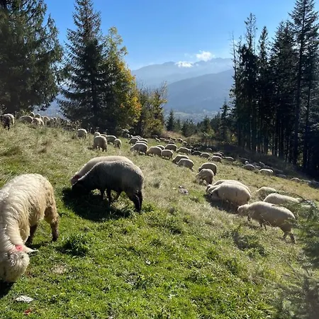 度假居 Goralskie Pod Gontem Na Polanie Pajakowka